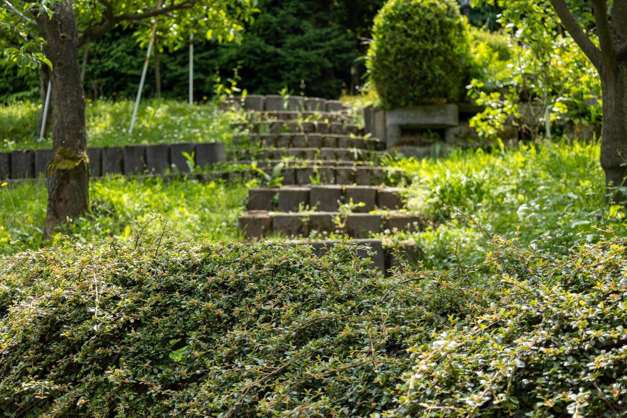 Villa Amalia, Centrum Banska Stiavnica, Parkovanie Pre 2 Auta, Velka Zahrada S Krbom, Cela Villa Amalia Pre 14 Osob Alebo Samostatne Nezavisle Prve Podlazie Villa Ama Pre 6 Osob Alebo Samostatne Nezavisle Podkrovie Villa Lia Pre 8 Osob,Pristup Cez Pi Exterior foto