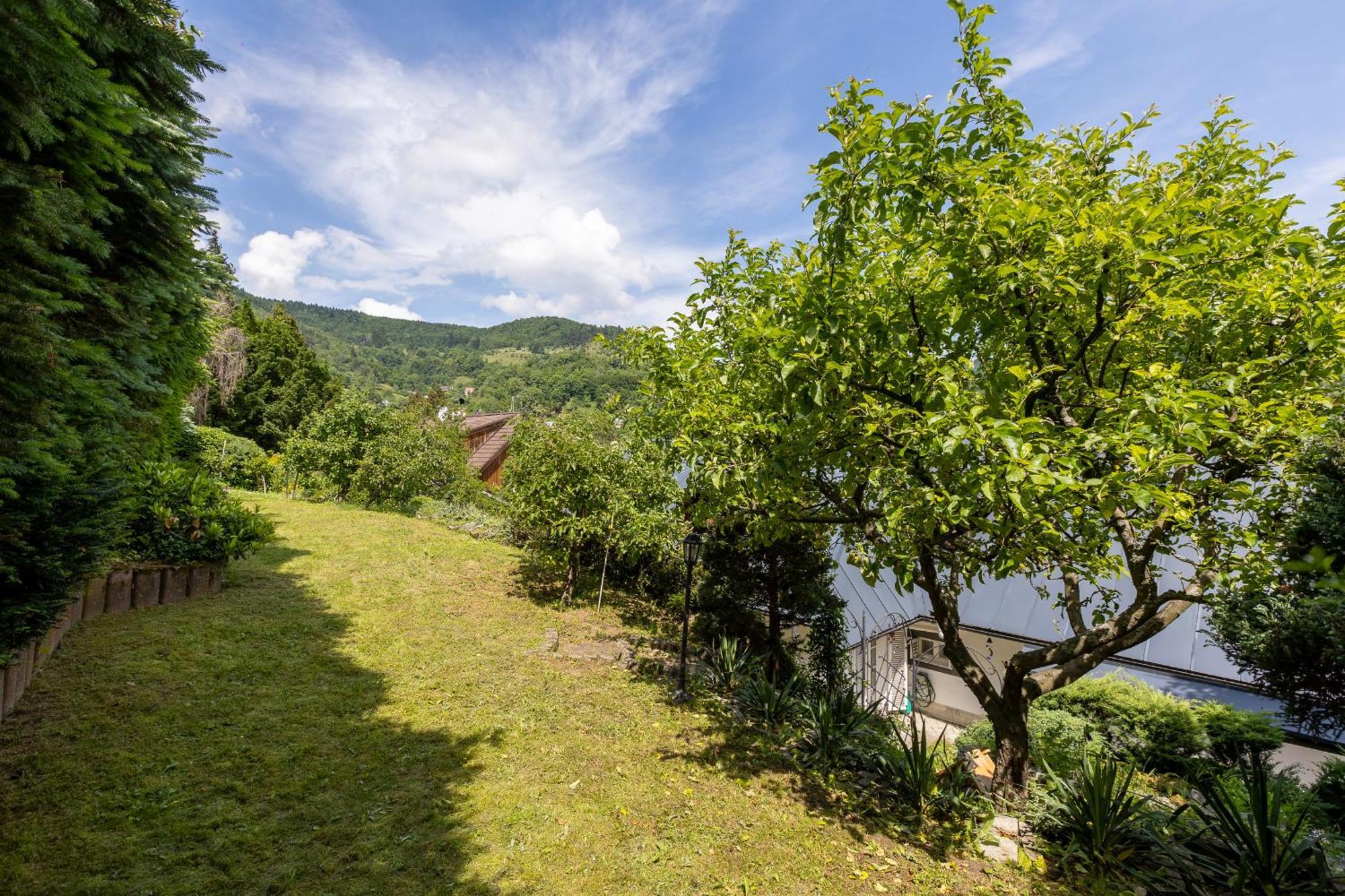 Villa Amalia, Centrum Banska Stiavnica, Parkovanie Pre 2 Auta, Velka Zahrada S Krbom, Cela Villa Amalia Pre 14 Osob Alebo Samostatne Nezavisle Prve Podlazie Villa Ama Pre 6 Osob Alebo Samostatne Nezavisle Podkrovie Villa Lia Pre 8 Osob,Pristup Cez Pi Exterior foto